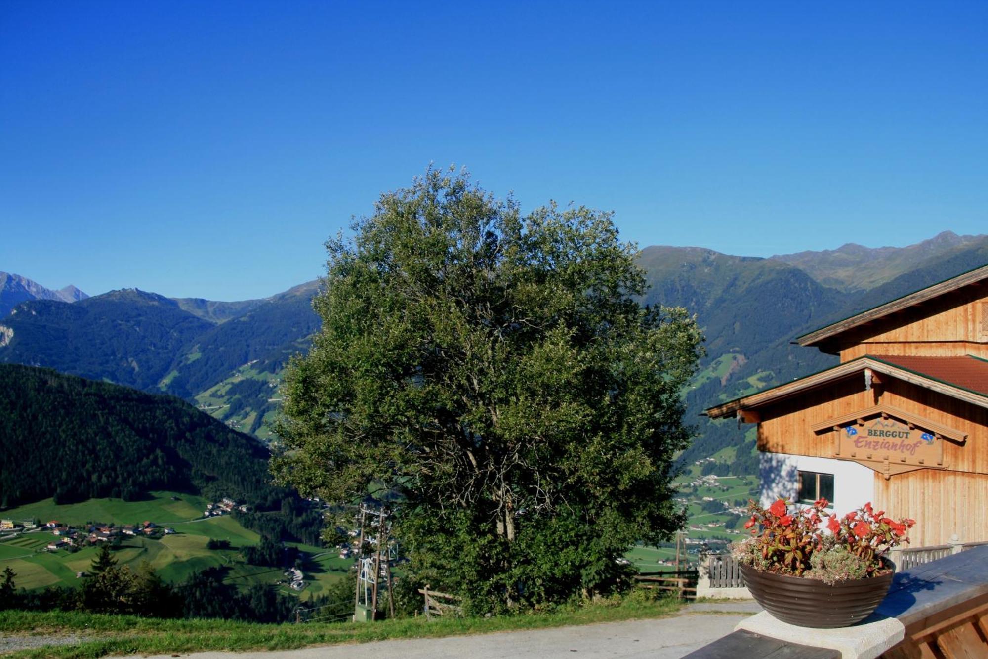 Alpengasthof Enzianhof Zell am Ziller Zewnętrze zdjęcie